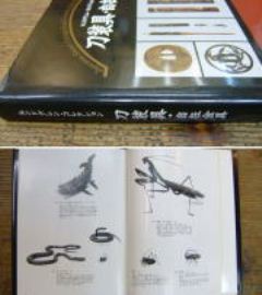 �����h�O���� �R���N�V���� ������ ���݋���ʐ^�W