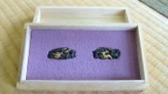 �H��I�˔��ɗ����i���Ƃ��΂��j���� �ՁE�ڊсE����