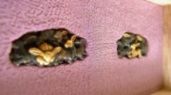 �H��I�˔��ɗ����i���Ƃ��΂��j���� �ՁE�ڊсE����